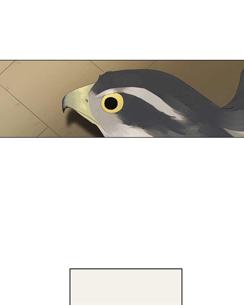 The Boxer Chapitre 38 - Page 1
