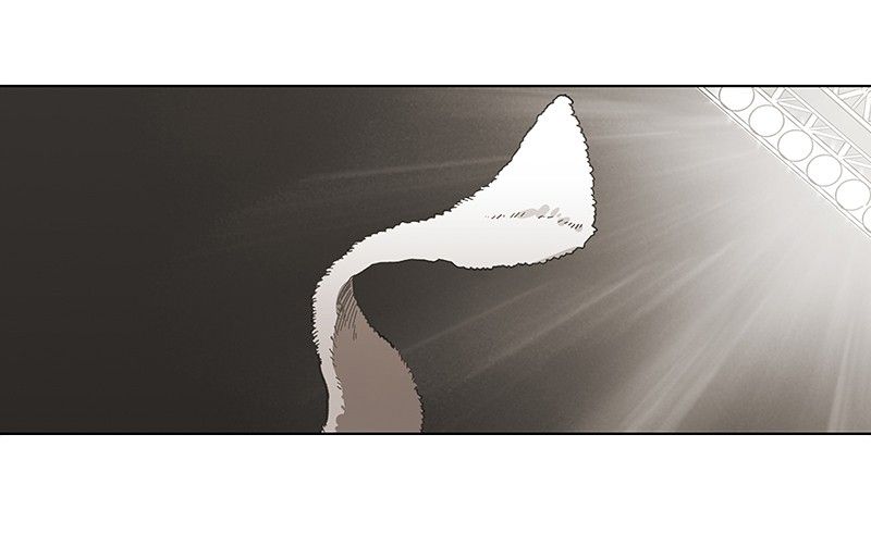 The Boxer Chapitre 50 - Page 172