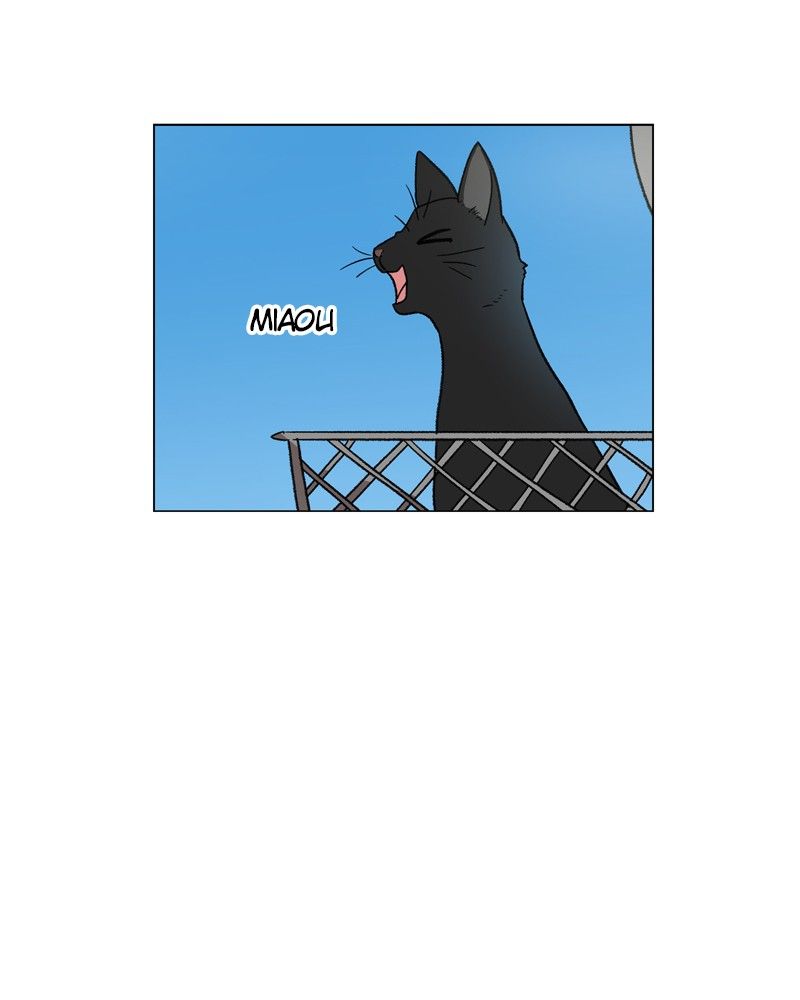 The Boxer Chapitre 55 - Page 6