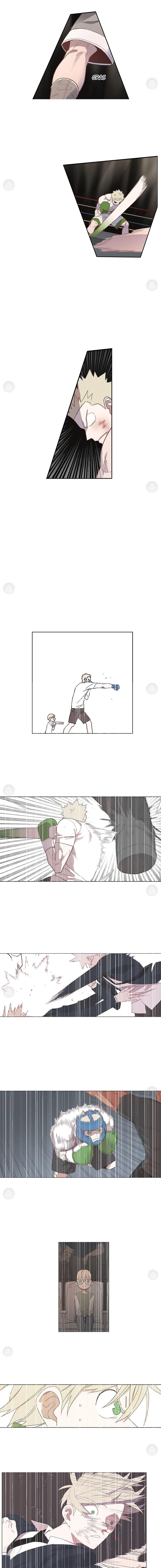 The Boxer Chapitre 124 - Page 12