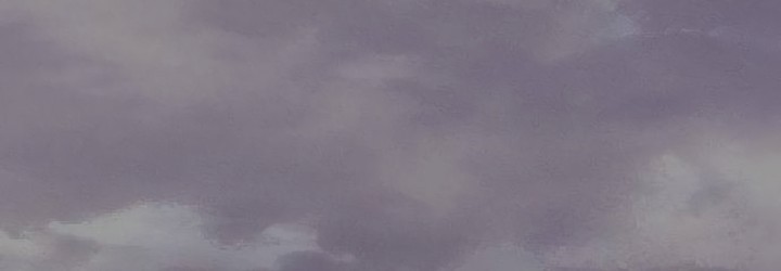 The Dang Clan’s Swordmaster Heir Just Wants a Normal Life Chapitre 79 - Page 108