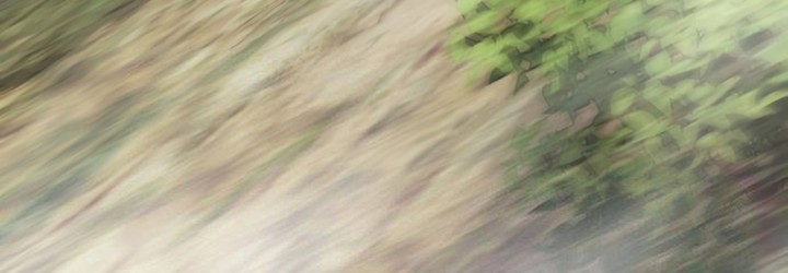 The Dang Clan’s Swordmaster Heir Just Wants a Normal Life Chapitre 80 - Page 60