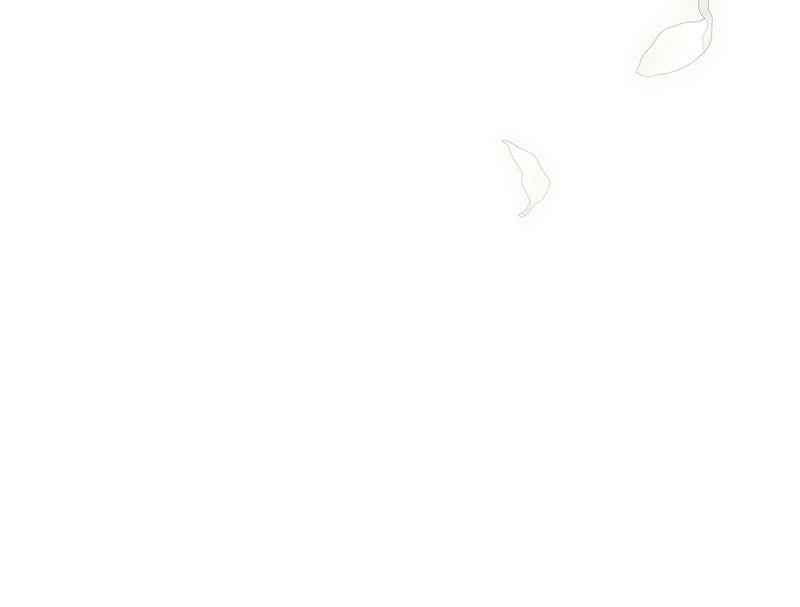 The Player Hides His Past Chapitre 70 - Page 30