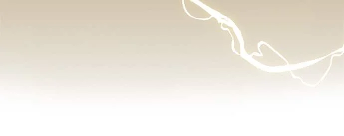 The Player Hides His Past Chapitre 88 - Page 83