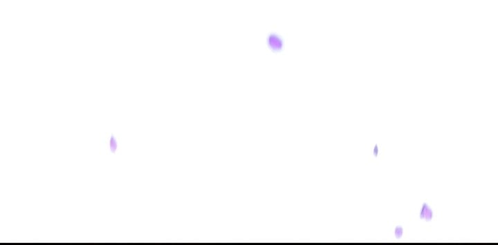 The Player that can’t Level Up Chapitre 180 - Page 3