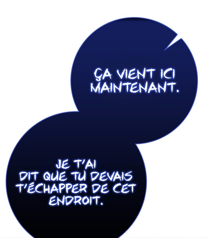 The Reincarnated Assassin is a Genius Swordsman Chapitre 71 - Page 96