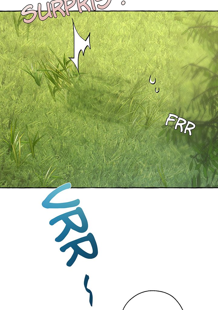 Trash of the Counts Family Chapitre 27 - Page 31