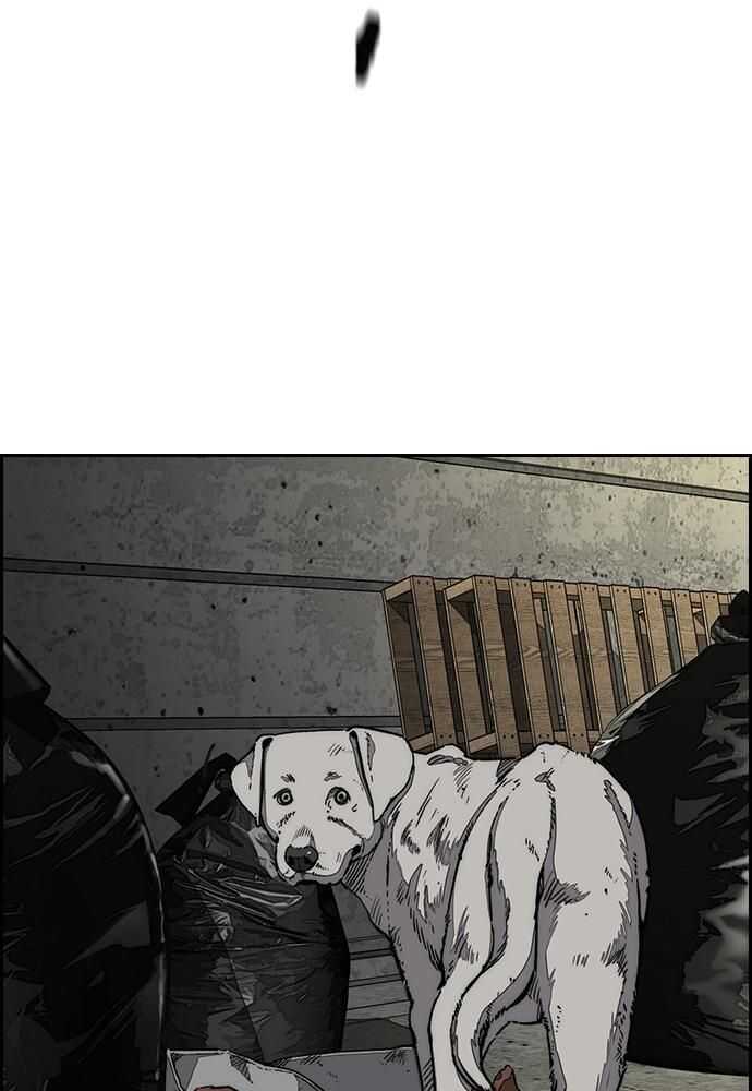Wind Breaker Chapitre 517 - Page 143