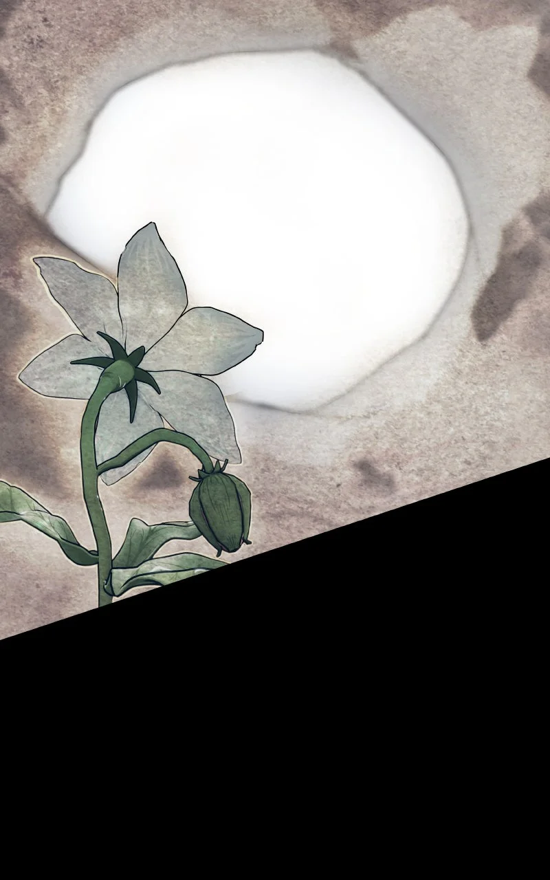 X & Ash Chapitre 70 - Page 166